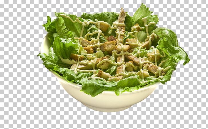 Romaine Lettuce Caesar Salad Waldorf Salad Vegetarian Cuisine PNG, Clipart, Caesar, Caesar Salad, Cheese, Crouton, Dish Free PNG Download