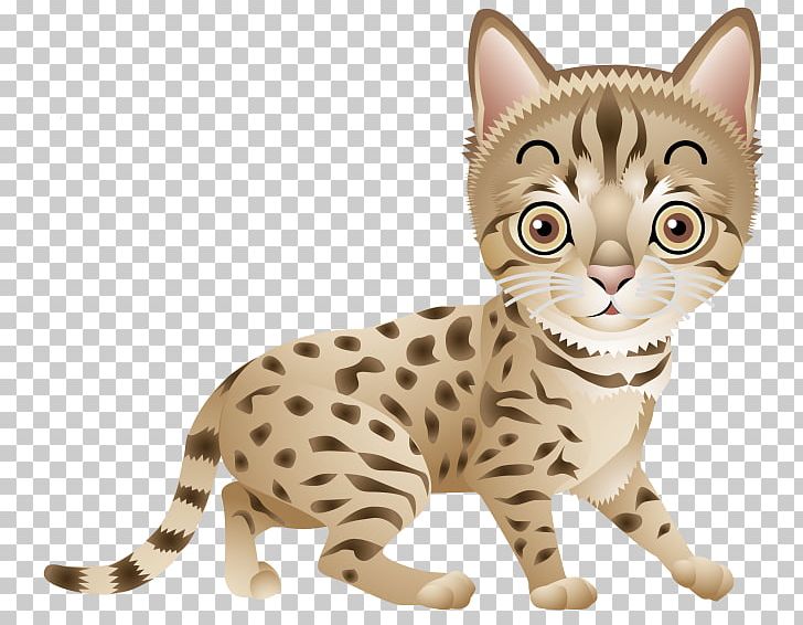 American Shorthair British Shorthair Russian Blue Graphics PNG, Clipart, American Wirehair, Asian, Bengal, British Shorthair, California Spangled Free PNG Download