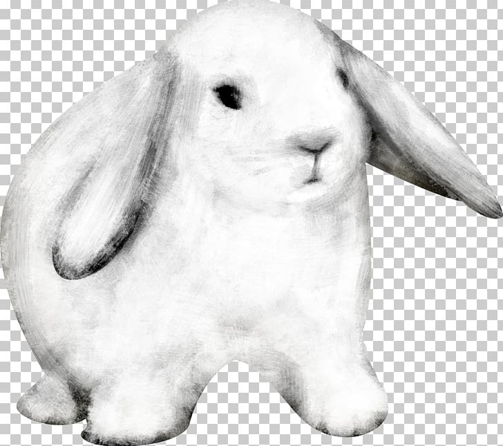 Domestic Rabbit Easter Bunny PNG, Clipart, Animals, Black And White, Digital Image, Domestic Rabbit, Drawing Free PNG Download