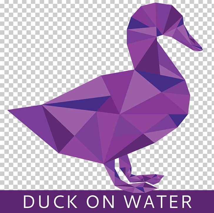 Duck Mallard User PNG, Clipart, Anatidae, Animals, Art, Art Paper, Beak Free PNG Download