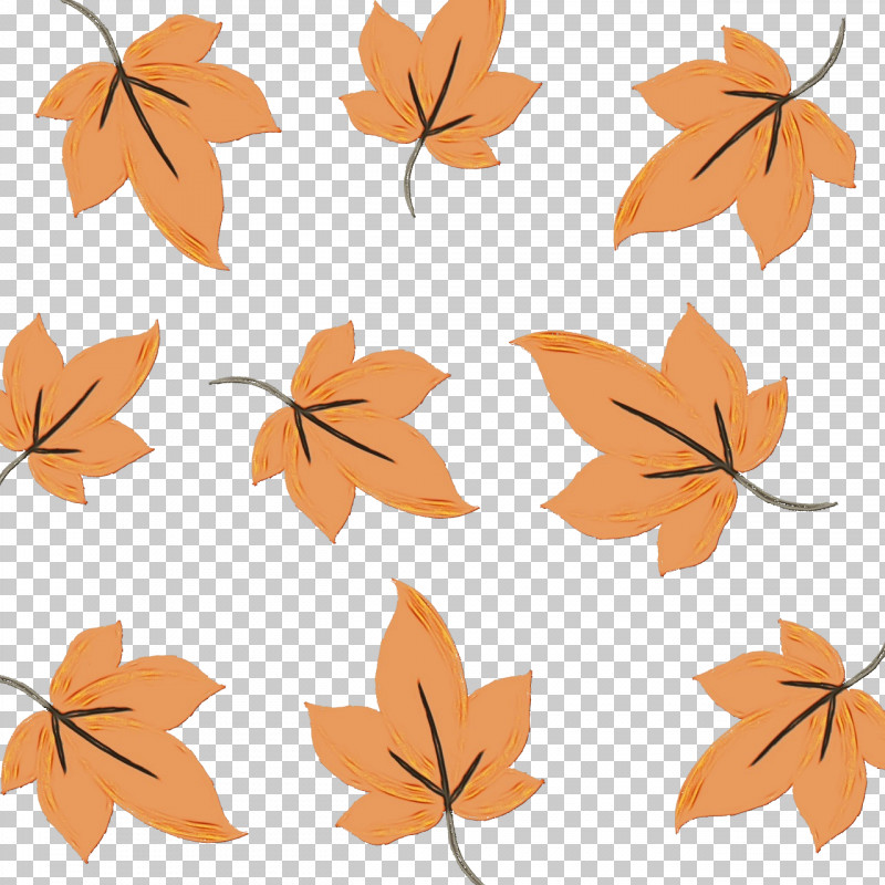 Leaf Flower Tree Twig Petal PNG, Clipart, Flower, Leaf, Line, Maple Leaf M, Paint Free PNG Download