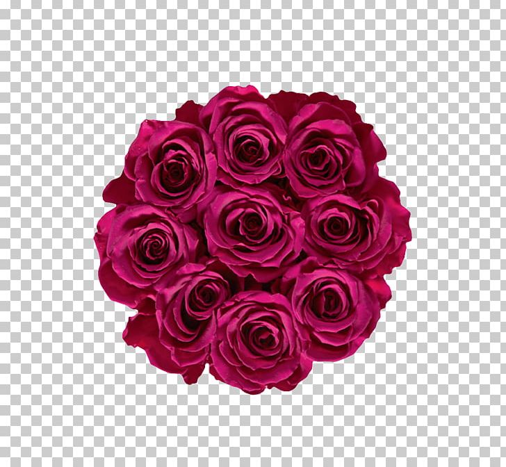 Garden Roses Cabbage Rose Cut Flowers Floral Design PNG, Clipart, Cut Flowers, Floral Design, Floristry, Flower, Flower Arranging Free PNG Download