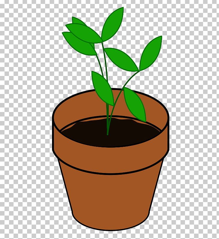 Plant PNG, Clipart, Blog, Download, Flower, Flowerpot, Food Free PNG Download