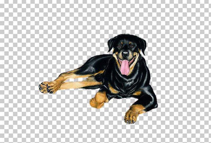 Rottweiler Puppy Dog Breed Universe Thought PNG, Clipart, Animals, Breed, Carnivoran, Dog, Dog Breed Free PNG Download