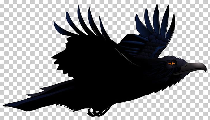 Bird Common Raven PNG, Clipart, American Crow, Beak, Bird, Bird Of Prey, Cdr Free PNG Download