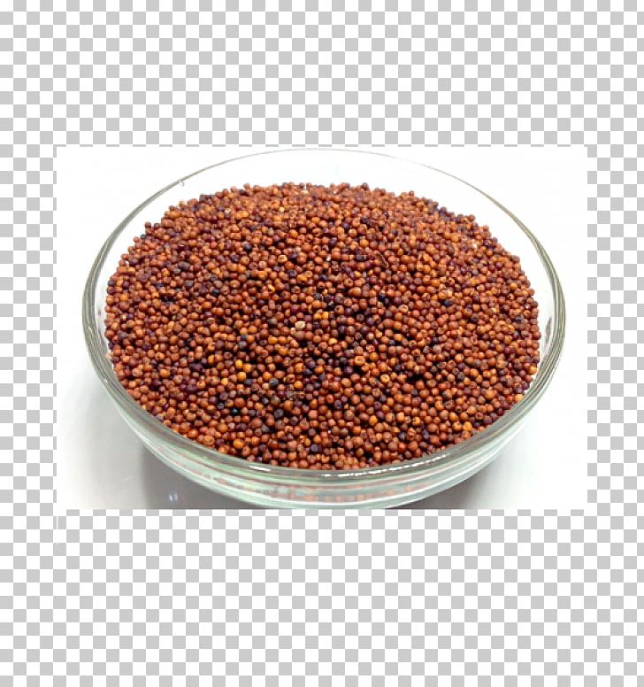 Finger Millet Pearl Millet Foxtail Millet Cereal PNG, Clipart, Bengaluru, Cereal, Commodity, Crop, Export Free PNG Download