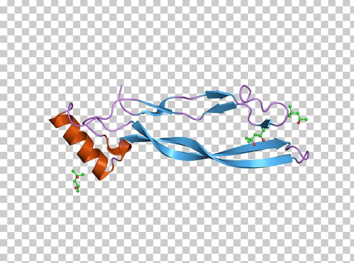 GDF5 GDF11 Growth Differentiation Factor Protein Gene PNG, Clipart, Art, Body Jewelry, Cartilage, Computer, Computer Wallpaper Free PNG Download