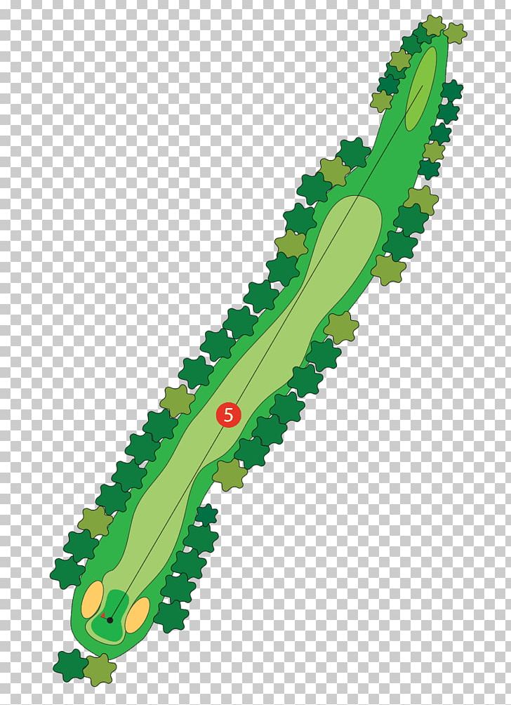 Golf Course Par Wood Golf Tees PNG, Clipart, Average, Bank, Camberwell, Com, Freeway Golf Course Free PNG Download