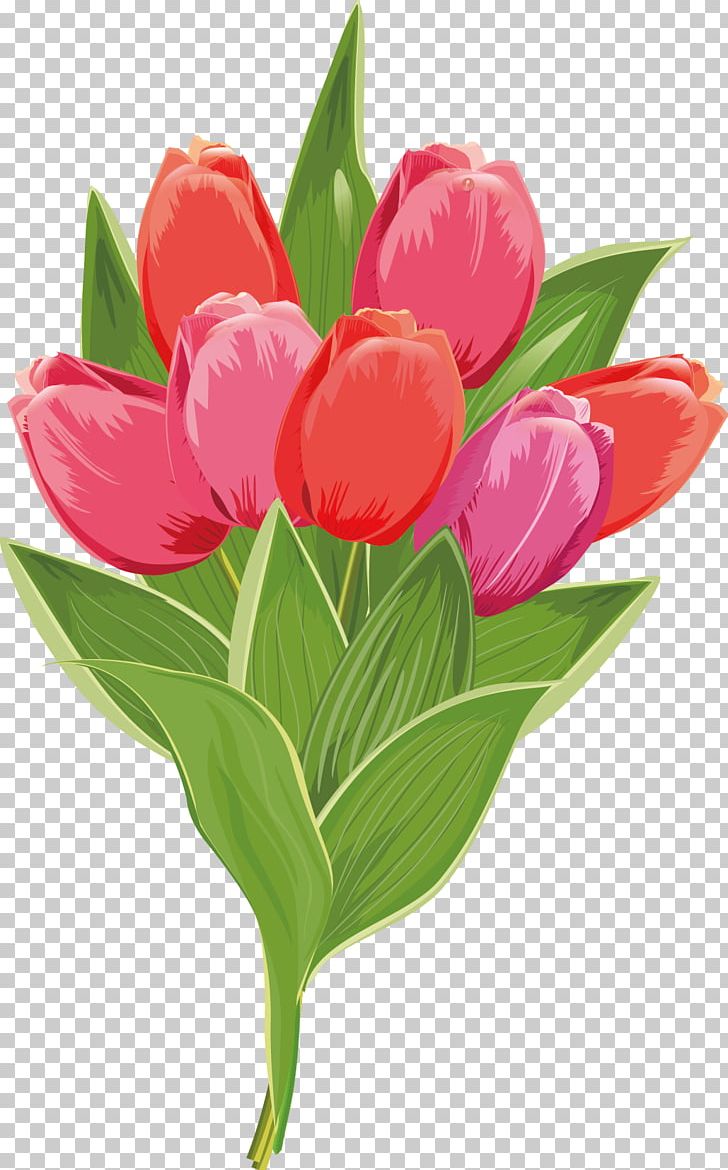 Tulip Euclidean Flower Illustration PNG, Clipart, Art, Christmas Decoration, Cut Flowers, Decoration, Decorative Elements Free PNG Download