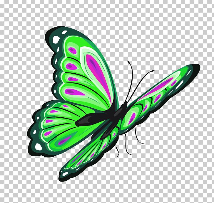 Butterfly PNG, Clipart, Art Green, Arthropod, Blue, Brush Footed Butterfly, Butterflies Free PNG Download