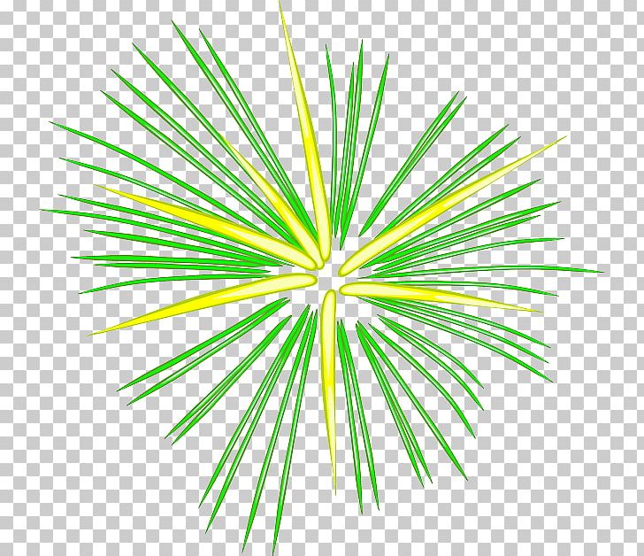 Fireworks 4 PNG, Clipart,  Free PNG Download