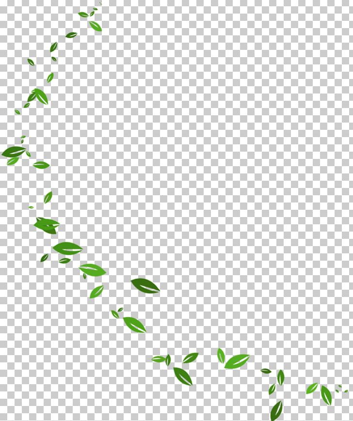 Leaf Information PNG, Clipart, Angle, Area, Background Green, Editing, Fall Leaves Free PNG Download