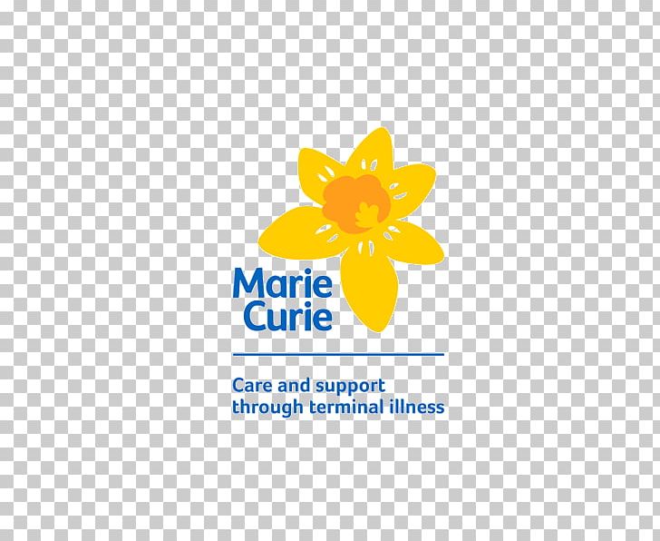 Marie Curie Great Daffodil Appeal Terminal Illness Charitable Organization Fundraising PNG, Clipart, Area, Brand, Charitable Organization, Endoflife Care, Flower Free PNG Download