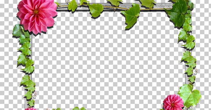 Frames Flower Floral Design Rose PNG, Clipart, Border, Cut Flowers, Decorative Arts, Digital Image, Film Frame Free PNG Download