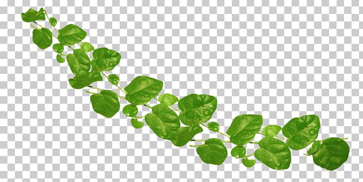 Leaf Plant Stem PNG, Clipart, Branch, Chemical Element, Clip Art, Deco, Flower Free PNG Download