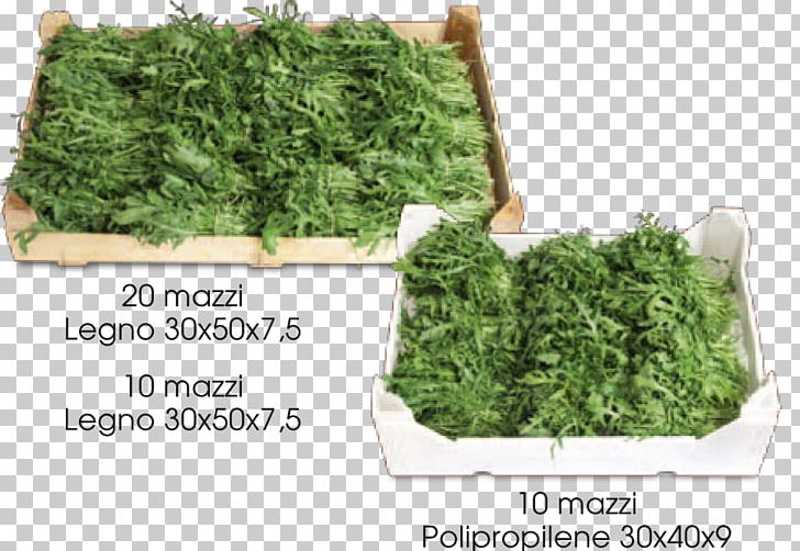 Leaf Vegetable Perennial Wall-rocket Arugula Azienda Agricola La Rucola Societa' Agricola Semplice Verona PNG, Clipart,  Free PNG Download