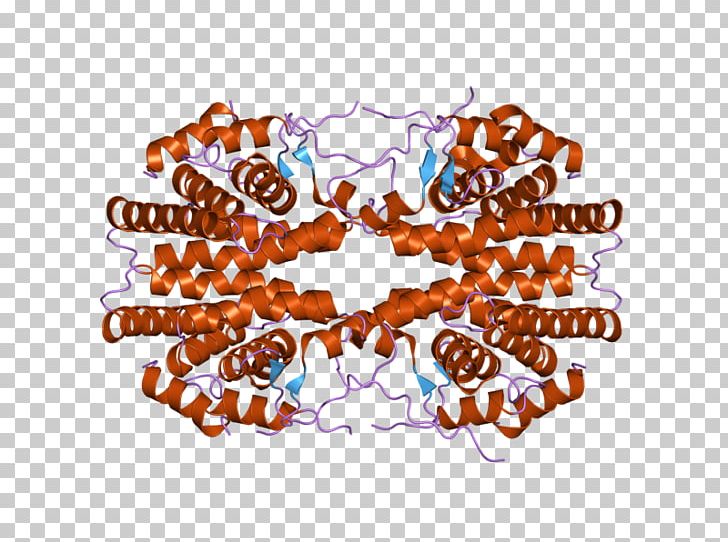 Retinoid X Receptor Gamma Retinoic Acid Receptor Nuclear Receptor PNG, Clipart, Acid, Bind, Circle, Gamma, Gene Free PNG Download
