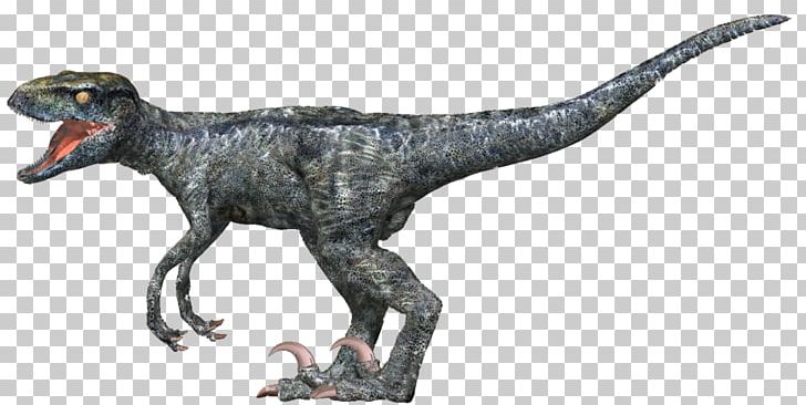 Tyrannosaurus Velociraptor Animal PNG, Clipart, Animal, Animal Figure, Dinosaur, Extinction, Fauna Free PNG Download