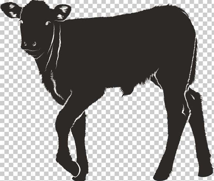 Calf Cattle Ox Portable Network Graphics PNG, Clipart, Black, Black And White, Bull, Calf, Cattle Free PNG Download