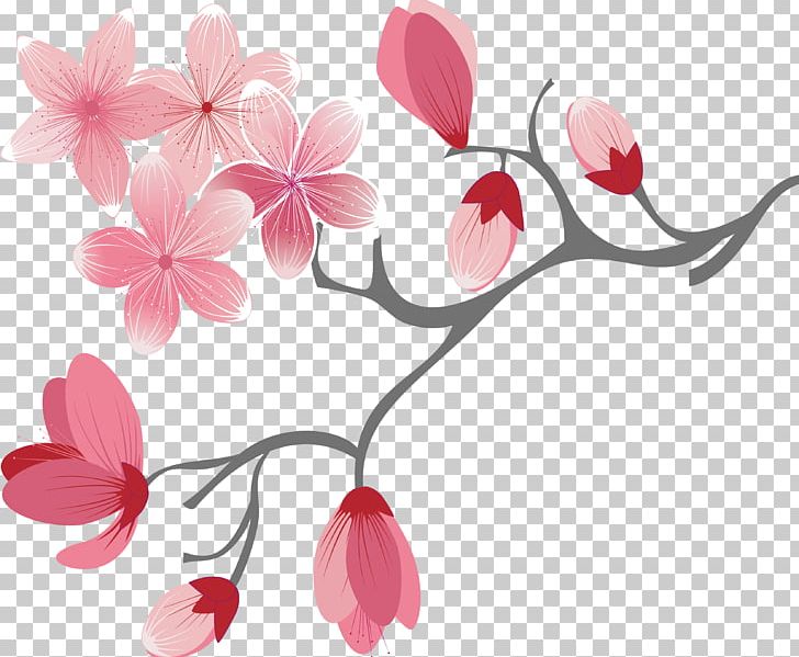 Cherry Blossom PNG, Clipart, Balloon Cartoon, Blossom, Blossoms Vector, Boy Cartoon, Branch Free PNG Download