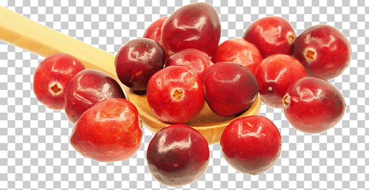 Cranberry Juice Cranberry Sauce Salsa Food PNG, Clipart, Acerola, Acerola Family, Berry, Cherry, Cranberry Free PNG Download