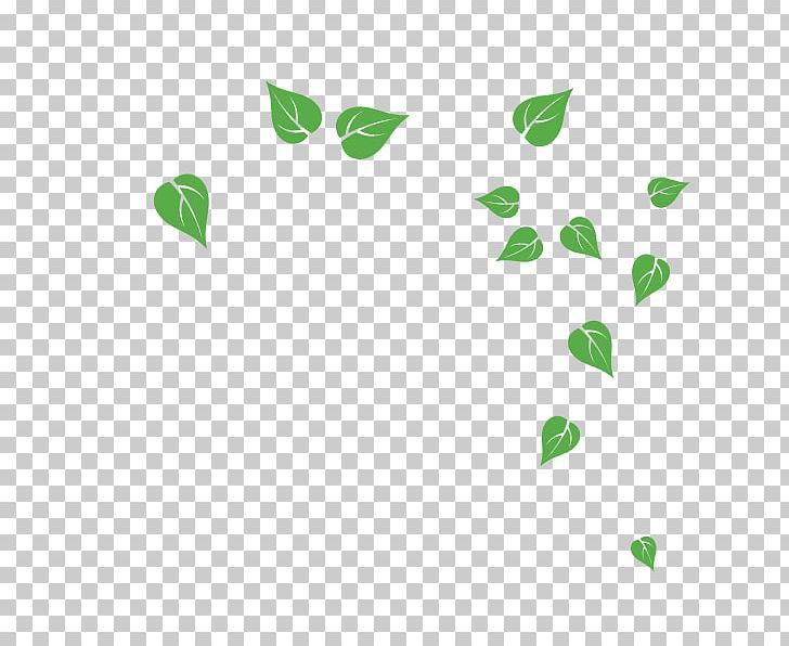 Leaf Font PNG, Clipart, Art, Green, Leaf, Lime Green Free PNG Download