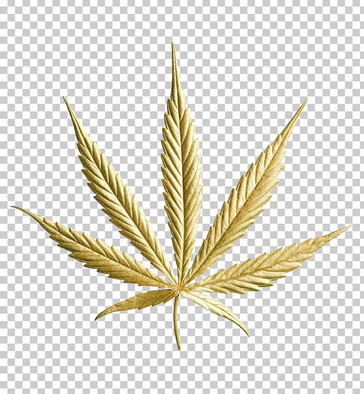 Medical Cannabis Drug Kush Hemp PNG, Clipart, Acapulco Gold, Cannabis, Cannabis Drug, Cannabis Industry, Cannabis Shop Free PNG Download