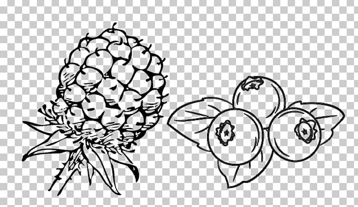 Blueberry Drawing Line Art Berries Food PNG, Clipart, Artwork, Berries, Black And White, Blackberry, Blueberry Free PNG Download