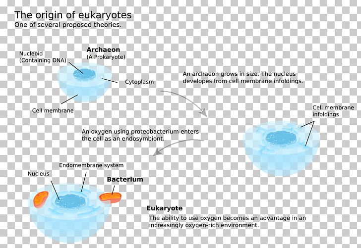 Brand Water Diagram PNG, Clipart, Brand, Diagram, Line, Microsoft Azure, Nature Free PNG Download