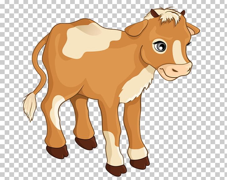 Cow-calf Operation White Park Cattle Beef Cattle PNG, Clipart, Animal, Animal Figure, Calf, Carnivoran, Cat Like Mammal Free PNG Download