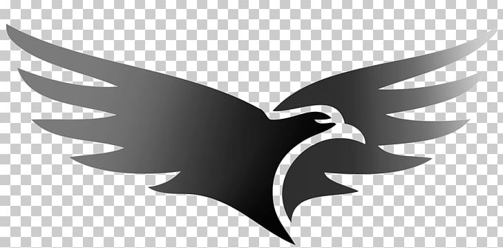 Hawk Concrete Floor Coatings Logo Building Materials PNG, Clipart, Architectural Engineering, Beak, Bird, Black, Black And White Free PNG Download