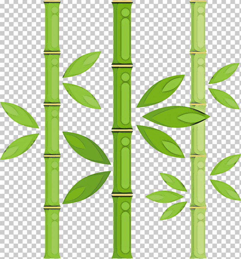 Green Bamboo Plant Stem Plant Grass Family PNG, Clipart, Bamboo, Flower, Grass, Grass Family, Green Free PNG Download