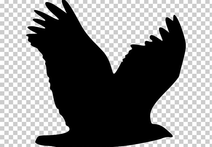 Bird Silhouette Eagle PNG, Clipart, Animals, Beak, Bird, Bird Flight, Black And White Free PNG Download