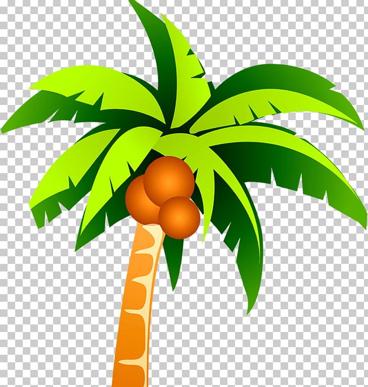 Coconut Tree PNG, Clipart, Arecaceae, Autumn Tree, Branch, Cartoon, Christmas Tree Free PNG Download