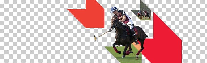 Horse Rein Flag Jockey International PNG, Clipart, Animals, Flag, Horse, Horse Like Mammal, Horse Tack Free PNG Download