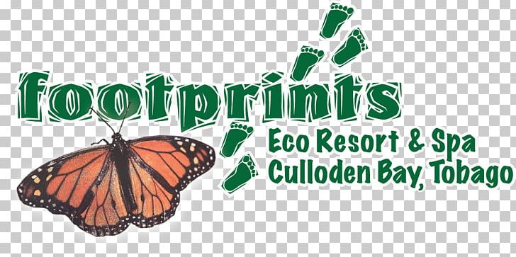 Monarch Butterfly Footprints Eco Resort & Spa Brush-footed Butterflies PNG, Clipart, Arthropod, Brand, Brushfooted Butterflies, Brush Footed Butterfly, Butterfly Free PNG Download