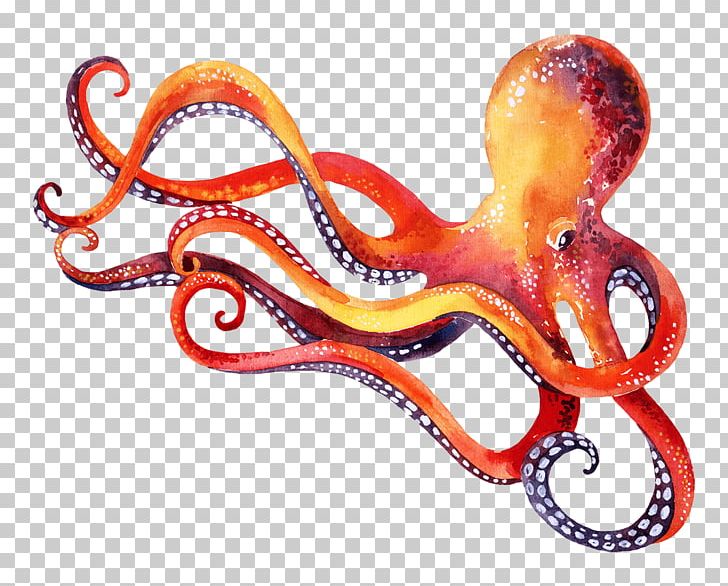 Octopus Marine Invertebrates Cephalopod Animal PNG, Clipart, Animal, Cephalopod, Invertebrate, Isolated, Marine Invertebrates Free PNG Download