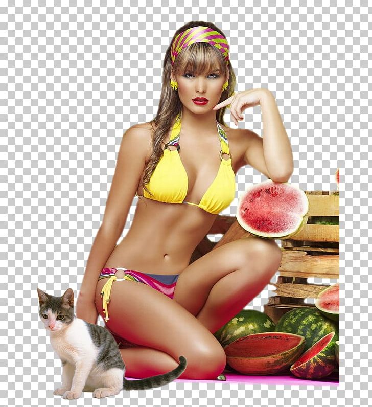 Woman Bikini Lingerie Swimsuit Animal PNG, Clipart, Animal, Bikini, Lingerie, Swimsuit, Woman Free PNG Download