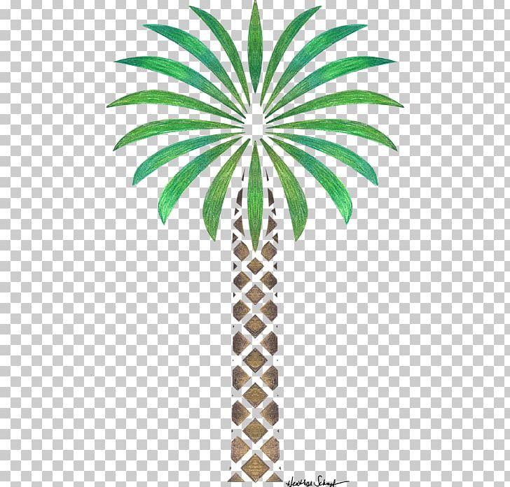 Arecaceae Date Palm Tree Drawing Woody Plant PNG, Clipart, Arecaceae, Arecales, Art, Date Palm, Date Palm Tree Free PNG Download
