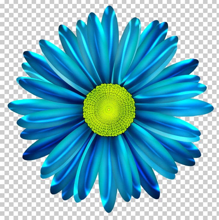 Common Daisy Blue Flower PNG, Clipart, Art, Aster, Blue, Blue Flower, Chrysanths Free PNG Download