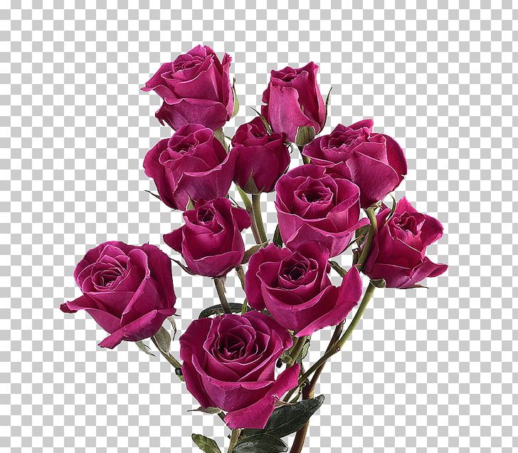 Garden Roses Cabbage Rose Floribunda Cut Flowers Pink PNG, Clipart, Artificial Flower, Cut Flowers, Farm, Floral Design, Floribunda Free PNG Download