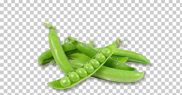 Pea Ervilha Petit Pois Vegetable Food Sowing PNG, Clipart, Agriculture, Assiette, Canning, Chard, Ervilha Petit Pois Free PNG Download