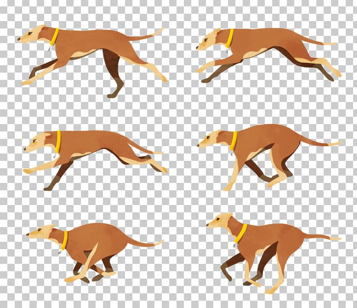 Italian Greyhound Dog Breed Crossbreed PNG, Clipart, Animal, Animal Figure, Art Spector, Breed, Carnivoran Free PNG Download