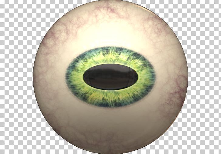Reptile Iris Cat's Eye Esthesiometer PNG, Clipart, 3d Computer Graphics, Animation, Ball, Cat, Cats Eye Free PNG Download