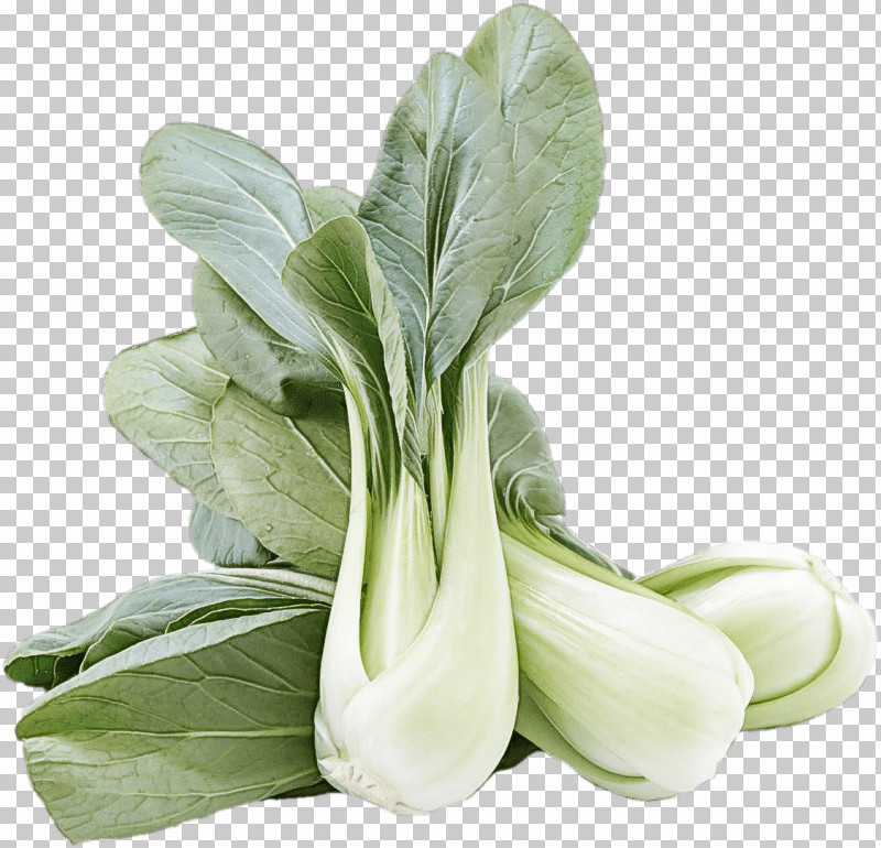 Vegetable Food Plant Flower Tatsoi PNG, Clipart, Chinese Cabbage, Flower, Food, Leaf, Leaf Vegetable Free PNG Download