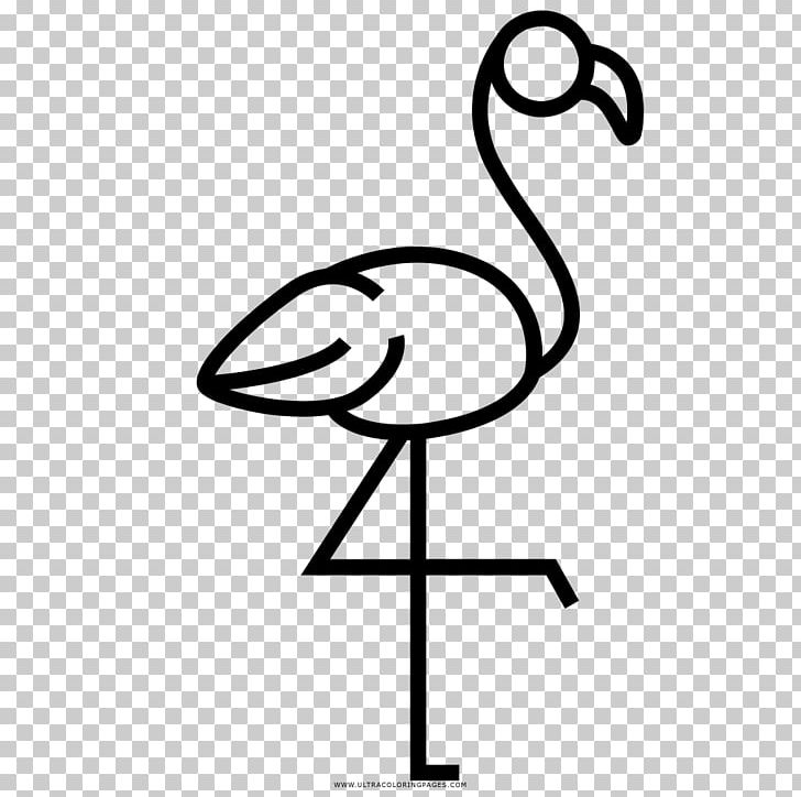 Greater Flamingo Drawing Beak PNG, Clipart, Animal, Area, Artwork, Beak, Bird Free PNG Download