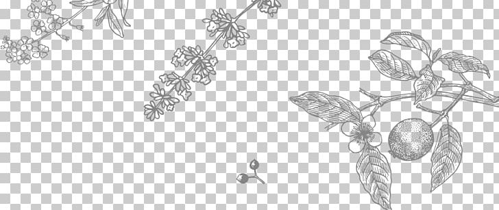 Line Art Coloring Book Sketch PNG, Clipart, Artwork, Black And White, Branch, Coloring Book, Drawing Free PNG Download