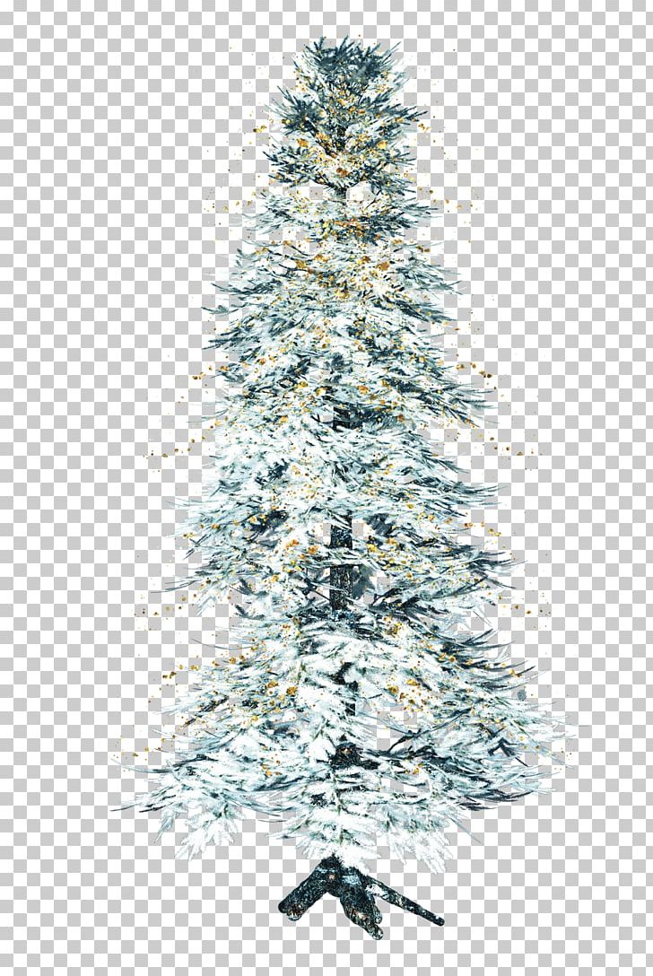 Tree Pine Conifers PNG, Clipart, Christmas Decoration, Christmas Ornament, Christmas Tree, Computer Icons, Conifer Free PNG Download