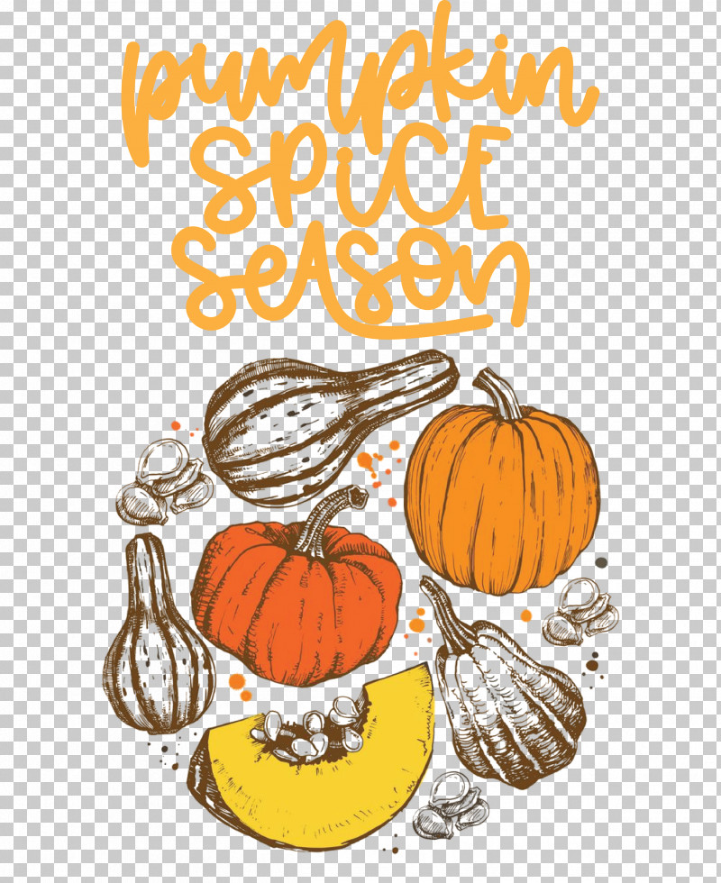 Autumn Pumpkin Spice Season Pumpkin PNG, Clipart, Autumn, Cartoon, Drawing, Pumpkin, Royaltyfree Free PNG Download