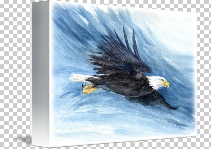 Bald Eagle Bird Flight Osprey PNG, Clipart, Accipitriformes, Advertising, Animals, Bald Eagle, Beak Free PNG Download